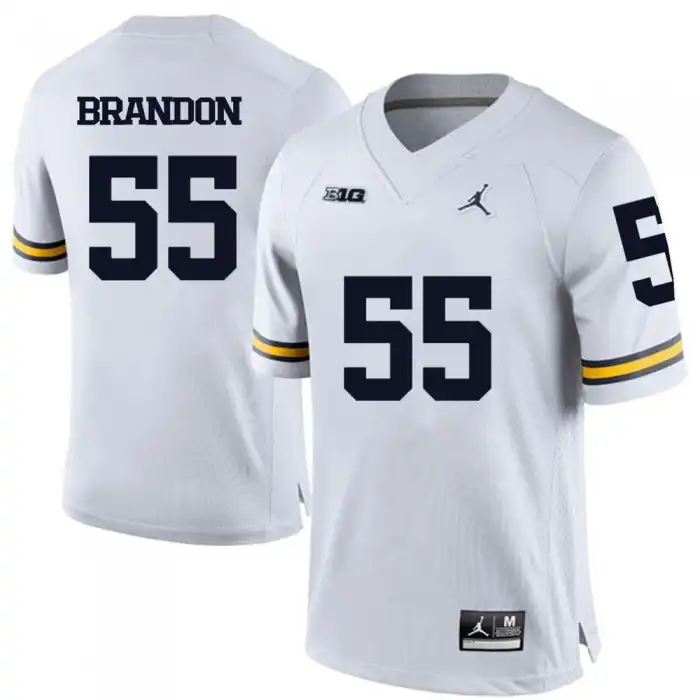 Michigan Wolverines Men's Brandon Graham #55 White College Football Jersey 2415WPEQ7