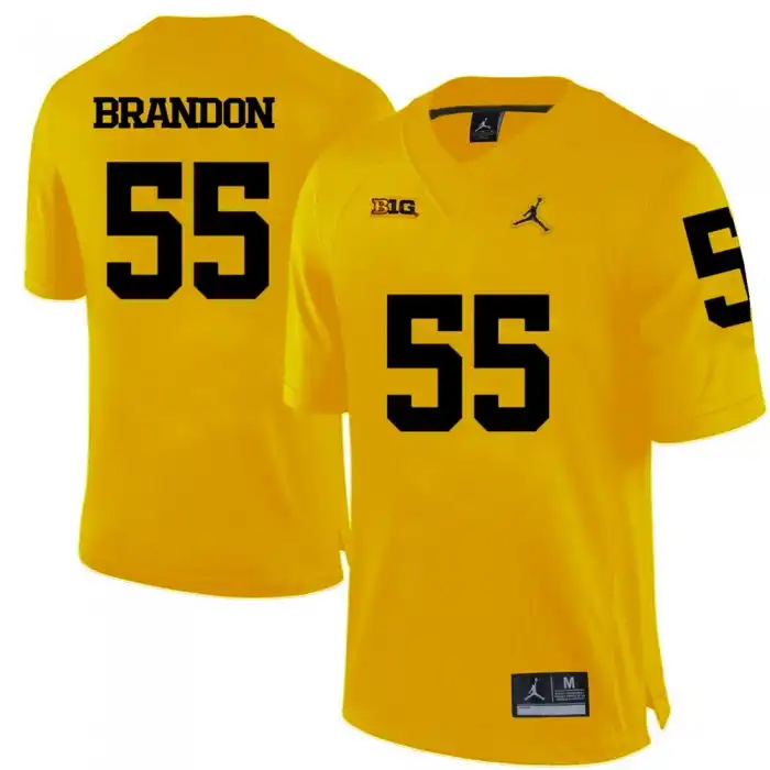 Michigan Wolverines Men's Brandon Graham #55 Yellow College Football Jersey 2415HWVZ7