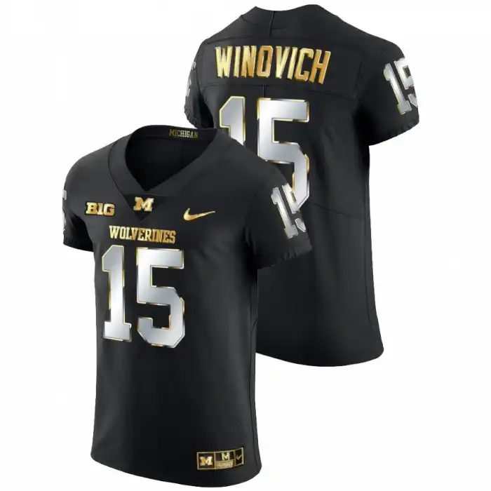 Michigan Wolverines Men's Chase Winovich #15 Alumni NFL Black Golden Edition College Football Jersey 2415AVOP7