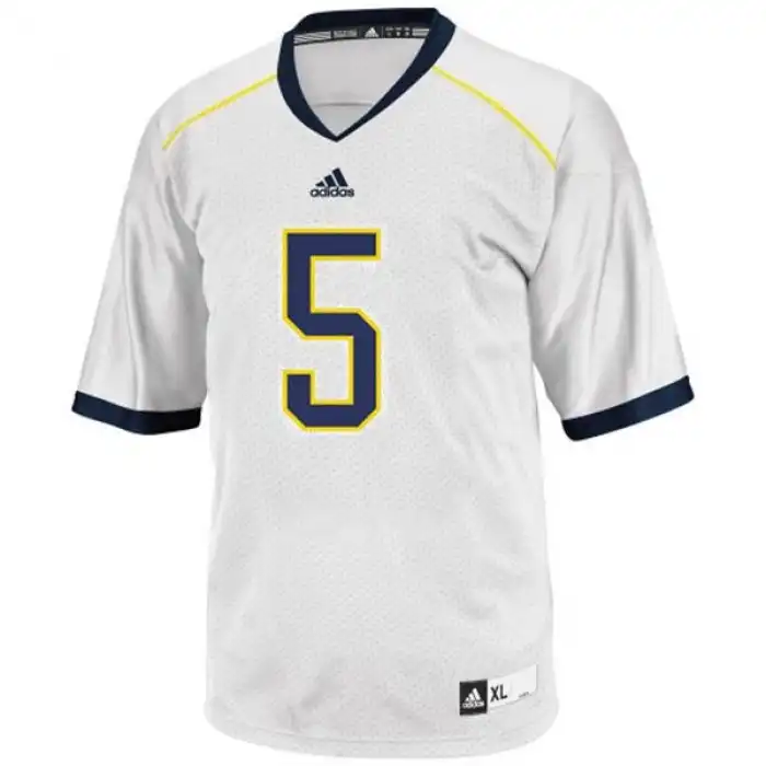 Michigan Wolverines Men's John Wangler #5 White College Football Jersey 2415TCZS8