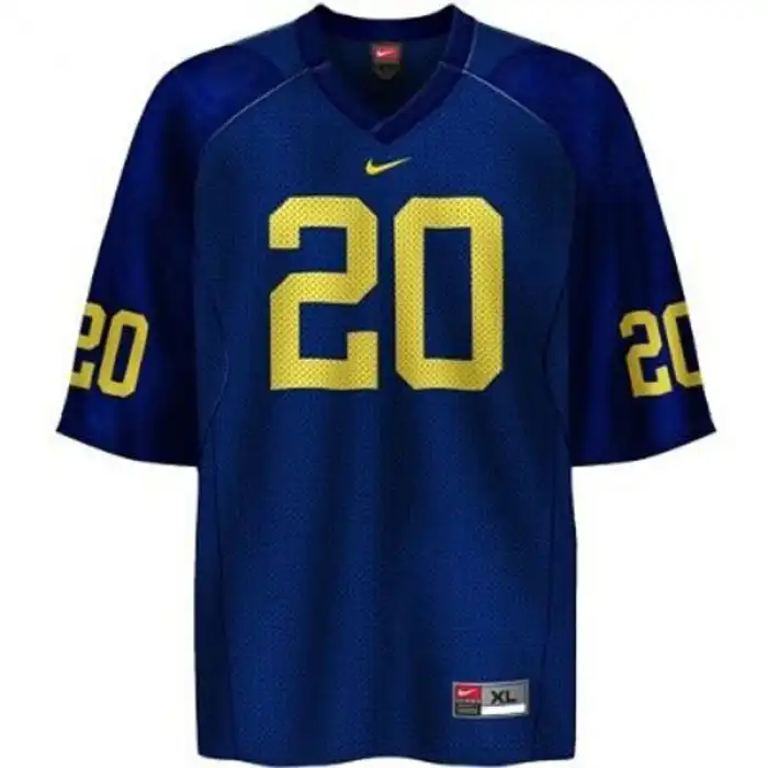 Michigan Wolverines Men's Mike Hart #20 Blue College Football Jersey 2415CSVJ3