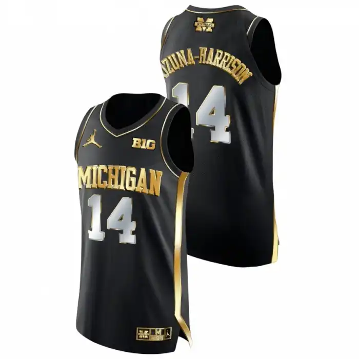 Michigan Wolverines Men's Rico Ozuna-Harrison #14 Black Golden Edition College Basketball Jersey 2415VGDM8